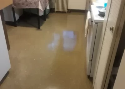 Janitorial Company